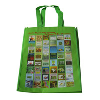 安阳LB11覆膜无纺布广告袋